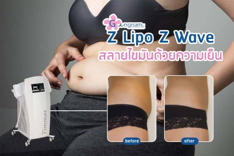 Z Lipo Z Wave