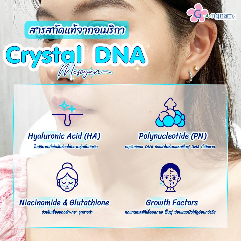 ส่วนประกอบของ Crystal DNA