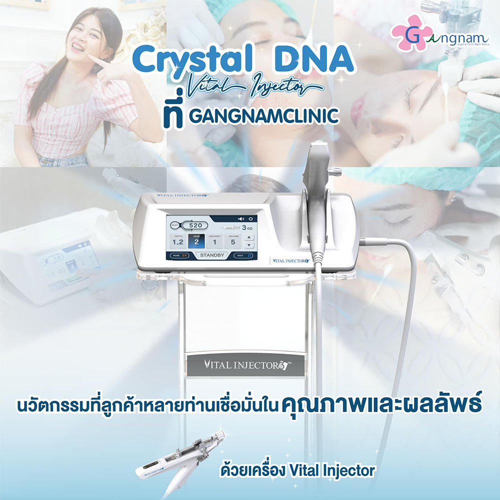 Crystal DNA คืออะไร