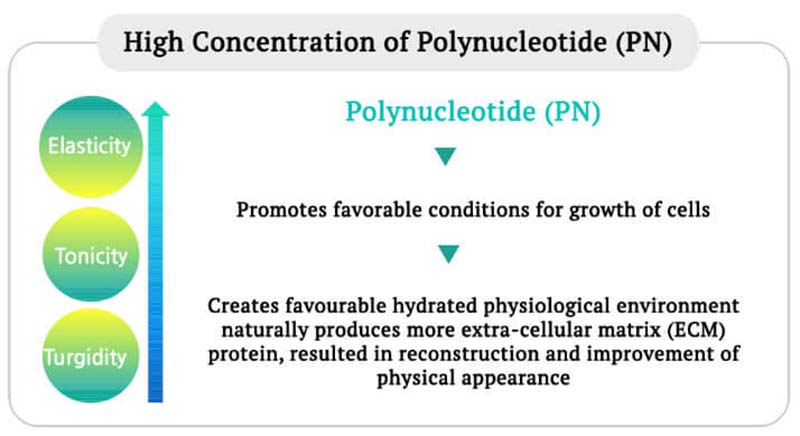 Polynucleotide และ rejuran
