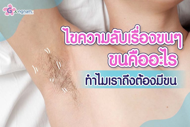 รู้จับกับ เส้นขน คืออะไร? มีวงจรการเกิดและหน้าที่อย่างไรบ้าง?