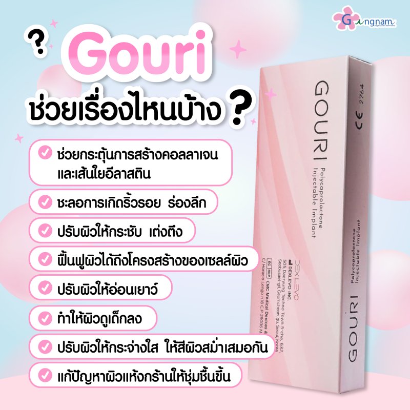 Gouri ช่วยเรื่องไหนบ้าง