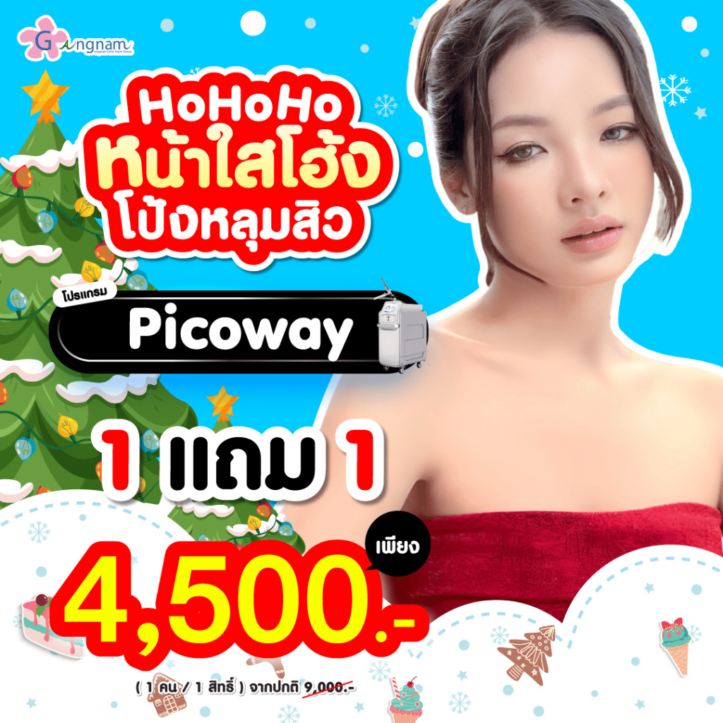 โปรโมชั่น picoway
